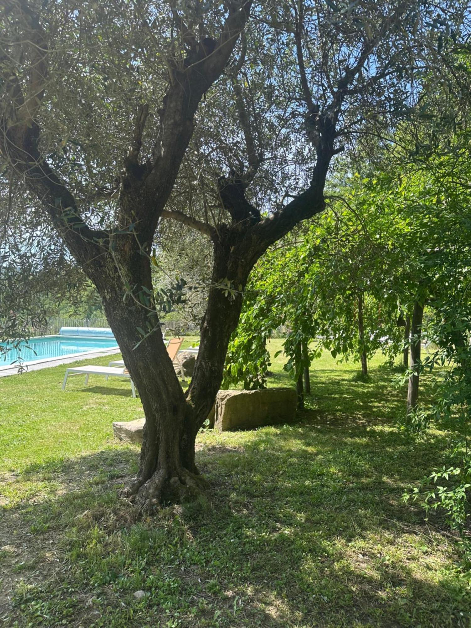 Collina Di Sopra Villa Tresana Exteriör bild