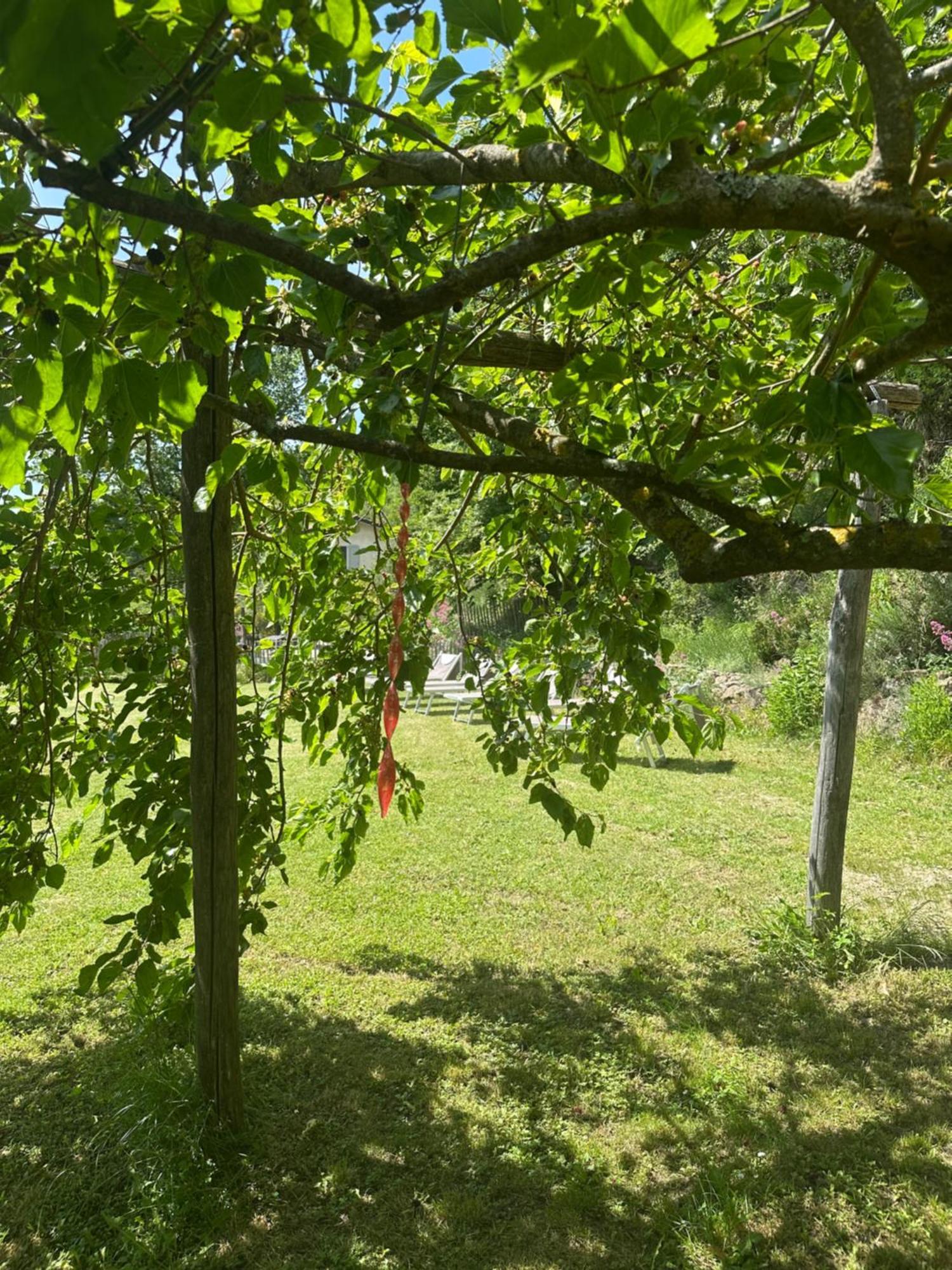 Collina Di Sopra Villa Tresana Exteriör bild