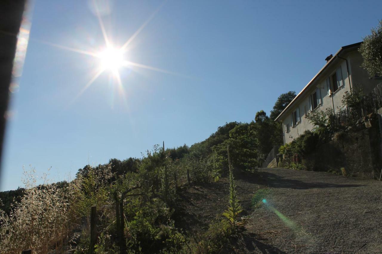 Collina Di Sopra Villa Tresana Exteriör bild